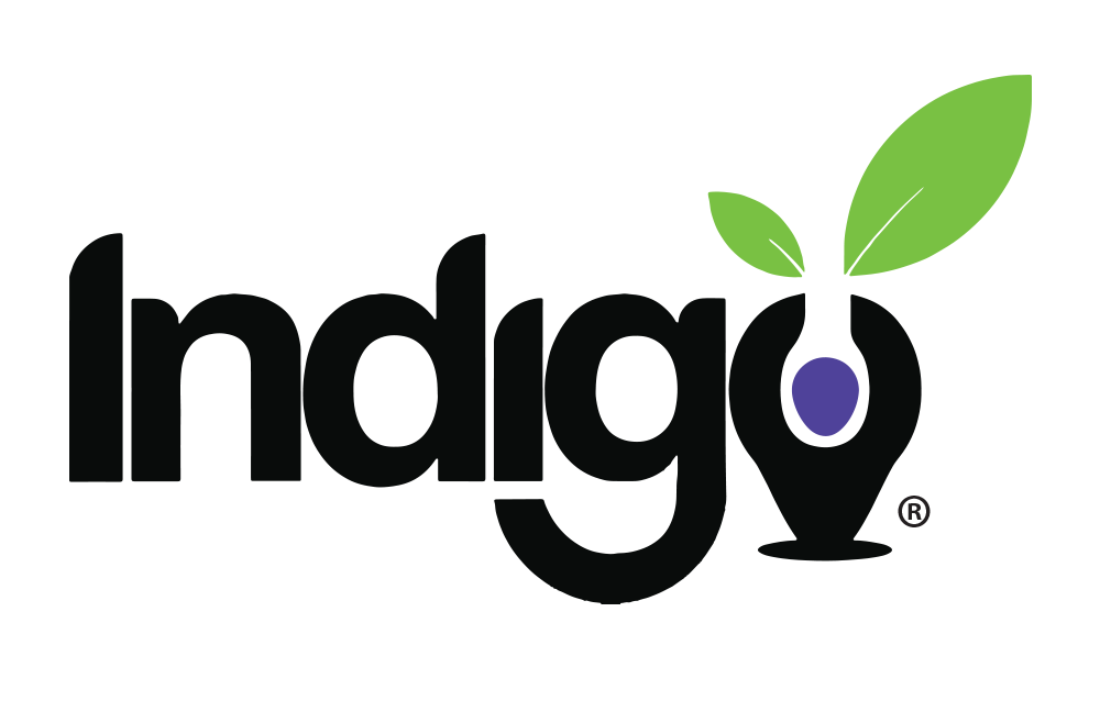 Indigo Education Logo